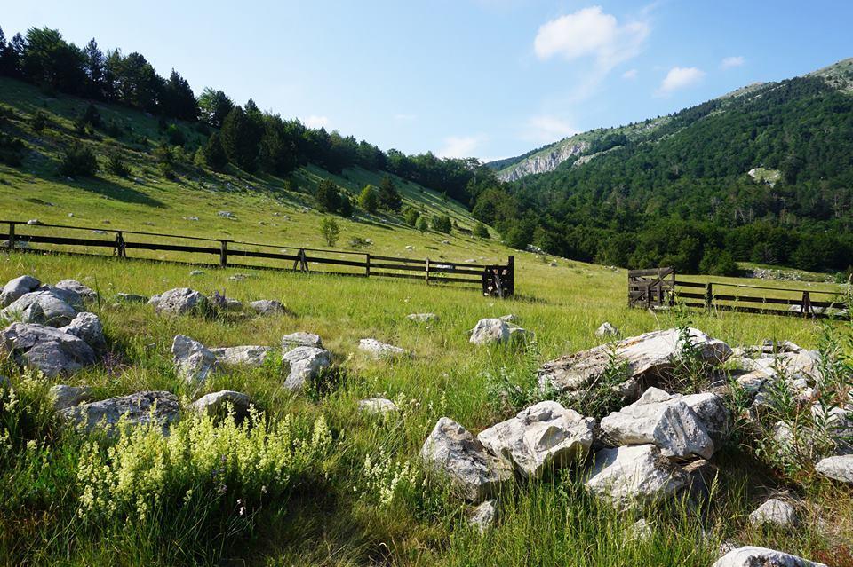Mountain House Varda Ledenice Exterior foto